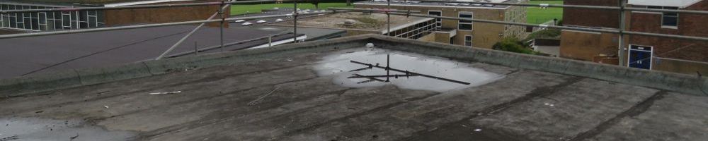 dakreparatie plat dak in Schagen